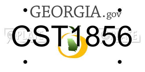 CST1856 Georgia License Plate