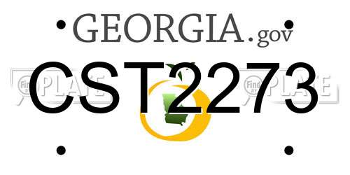 CST2273 Georgia License Plate