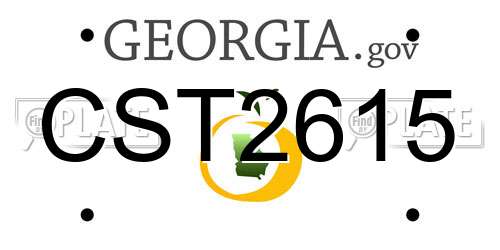 CST2615 Georgia License Plate