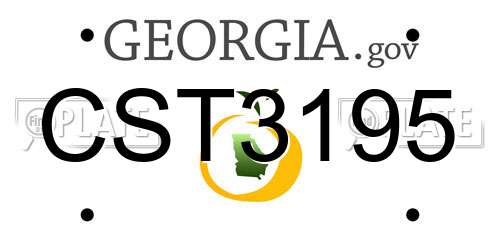 CST3195 Georgia License Plate
