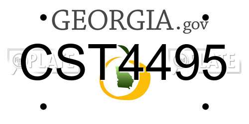 CST4495 Georgia License Plate