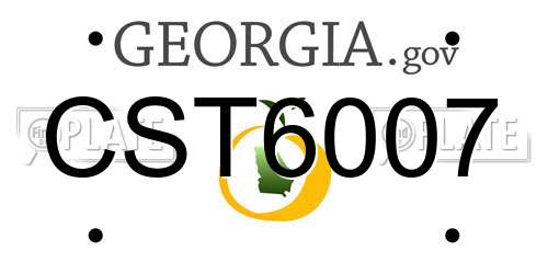 CST6007 Georgia License Plate