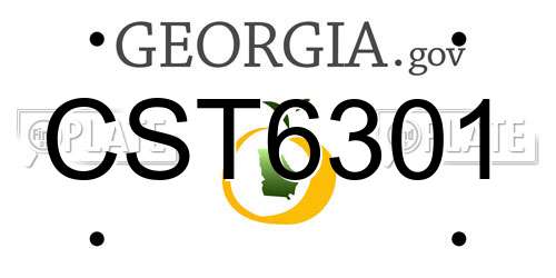 CST6301 Georgia License Plate