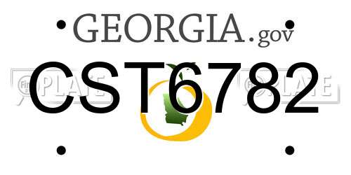 CST6782 Georgia License Plate
