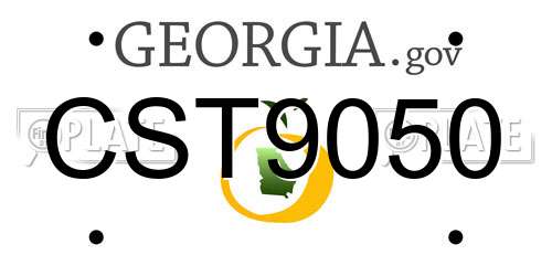 CST9050 Georgia License Plate