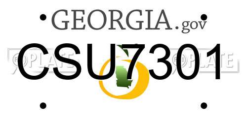 CSU7301 Georgia License Plate