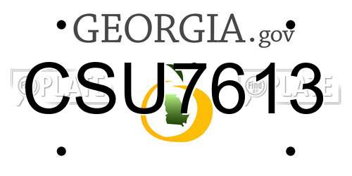 CSU7613 Georgia License Plate