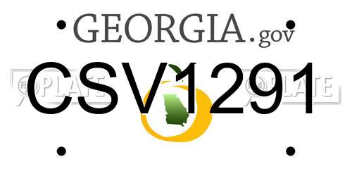CSV1291 Georgia License Plate