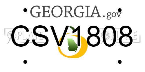 CSV1808 Georgia License Plate