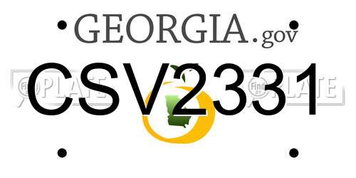 CSV2331 Georgia License Plate