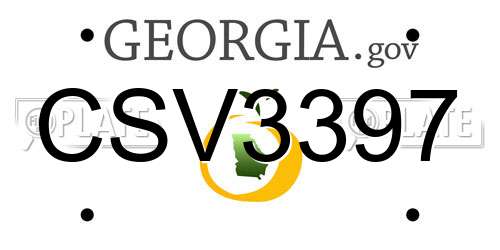 CSV3397 Georgia License Plate