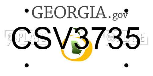 CSV3735 Georgia License Plate