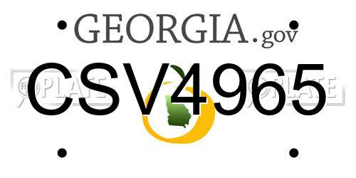 CSV4965 Georgia License Plate