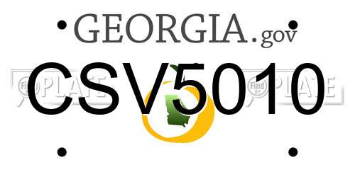 CSV5010 Georgia License Plate