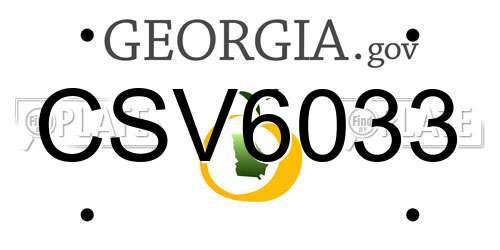 CSV6033 Georgia License Plate