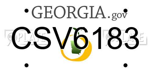 CSV6183 Georgia License Plate