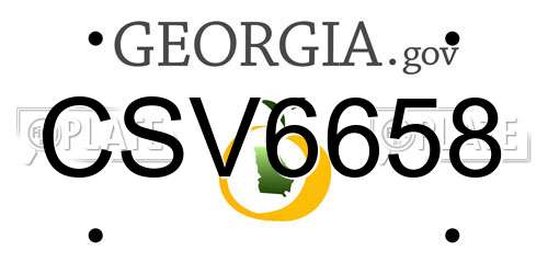 CSV6658 Georgia License Plate