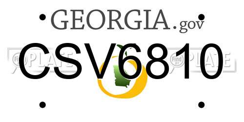 CSV6810 Georgia License Plate