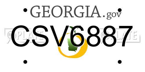 CSV6887 Georgia License Plate