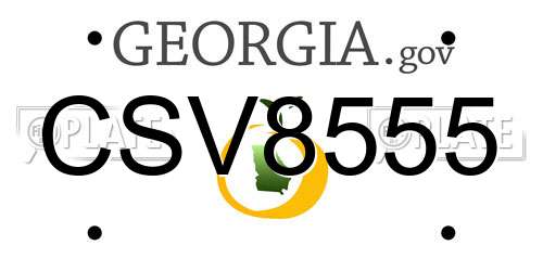 CSV8555 Georgia License Plate