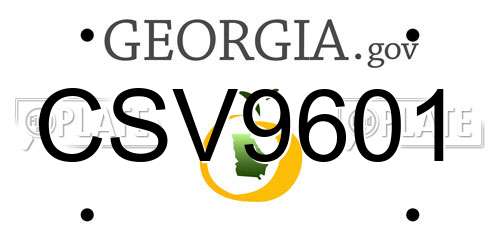 CSV9601 Georgia License Plate