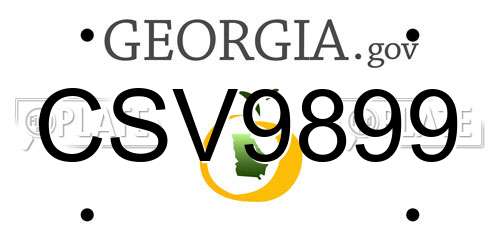 CSV9899 Georgia License Plate
