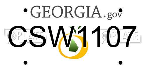 CSW1107 Georgia License Plate