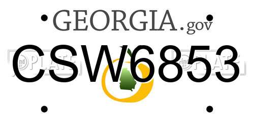 CSW6853 Georgia License Plate