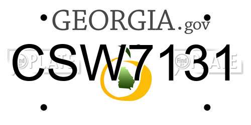 CSW7131 Georgia License Plate