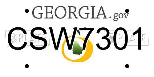 CSW7301 Georgia License Plate