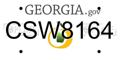 CSW8164 Georgia License Plate