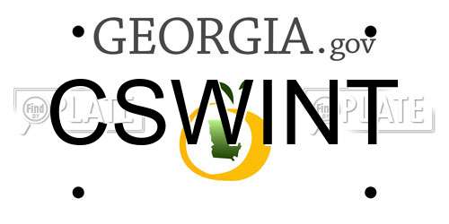 CSWINT Georgia License Plate