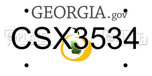 CSX3534 Georgia License Plate