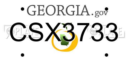 CSX3733 Georgia License Plate
