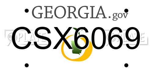 CSX6069 Georgia License Plate
