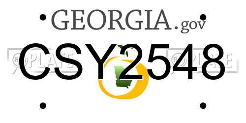 CSY2548 Georgia License Plate