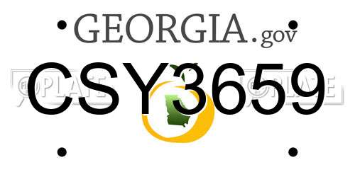 CSY3659 Georgia License Plate