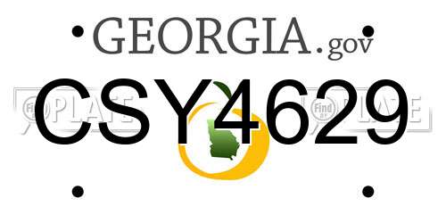 CSY4629 Georgia License Plate