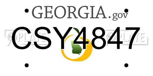 CSY4847 Georgia License Plate