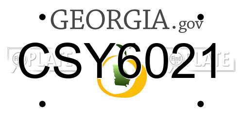 CSY6021 Georgia License Plate