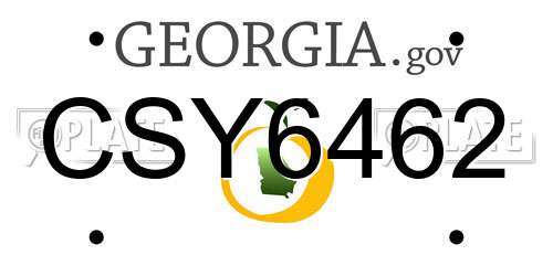CSY6462 Georgia License Plate