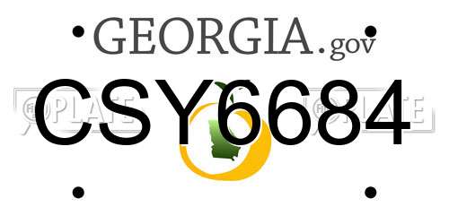 CSY6684 Georgia License Plate