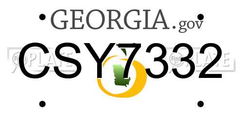 CSY7332 Georgia License Plate