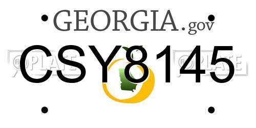 CSY8145 Georgia License Plate