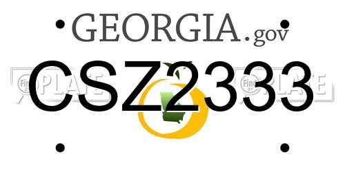 CSZ2333 Georgia License Plate