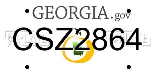 CSZ2864 Georgia License Plate
