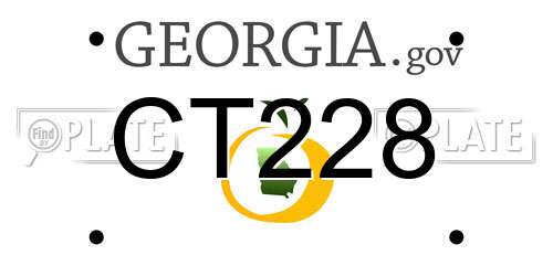 CT228 Georgia License Plate