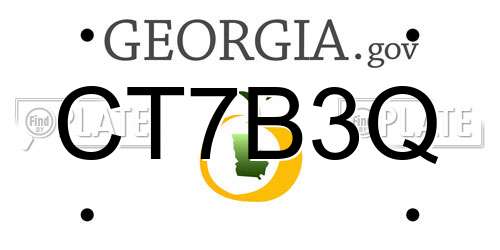 CT7B3Q Georgia License Plate