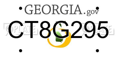 CT8G295 Georgia License Plate