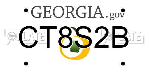 CT8S2B Georgia License Plate